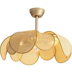 Fandelier Ceiling Fans 25 Inch